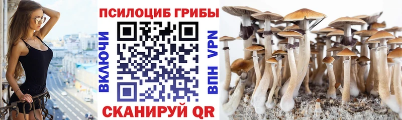 цены наркотик  Голицыно  мега зеркало  Галлюциногенные грибы мицелий 
